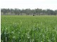Pratten QLD 4370
