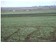 Allora QLD 4362