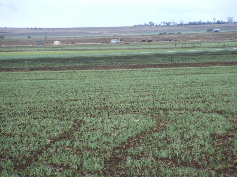 Allora QLD 4362