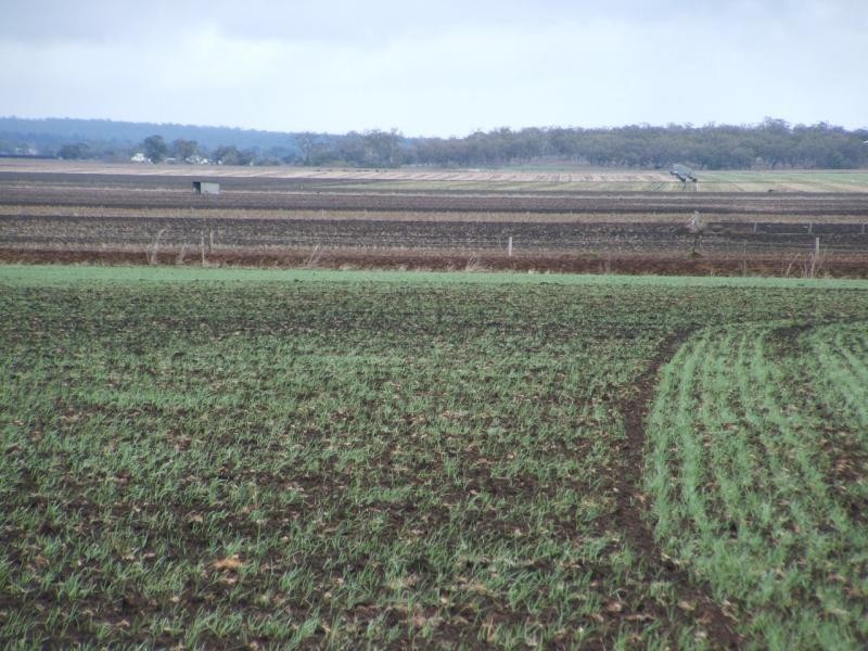 Allora QLD 4362