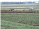 Allora QLD 4362
