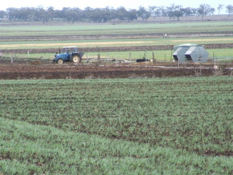 Allora QLD 4362