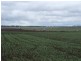 Allora QLD 4362