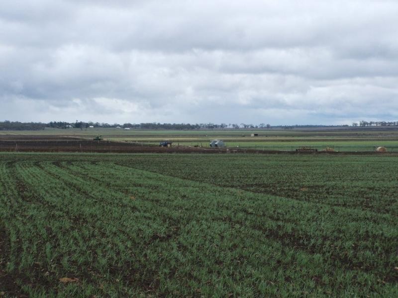 Allora QLD 4362