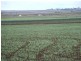 Allora QLD 4362
