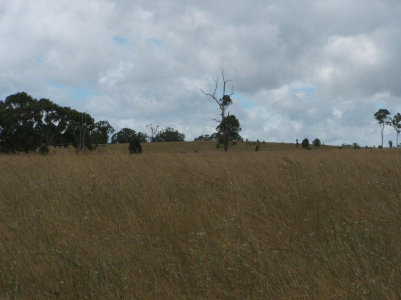 Warwick QLD 4370