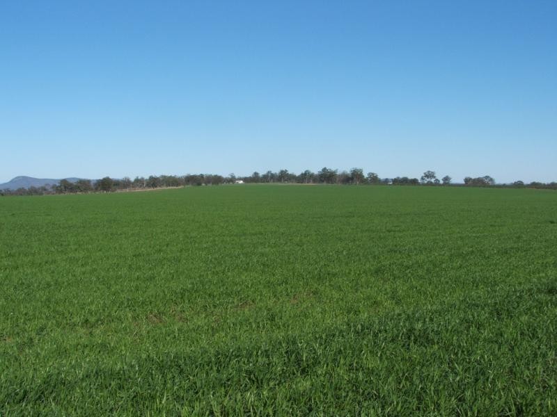 Loch Lomond QLD 4370