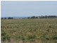 Swan Creek QLD 4370
