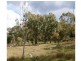 Karara QLD 4352