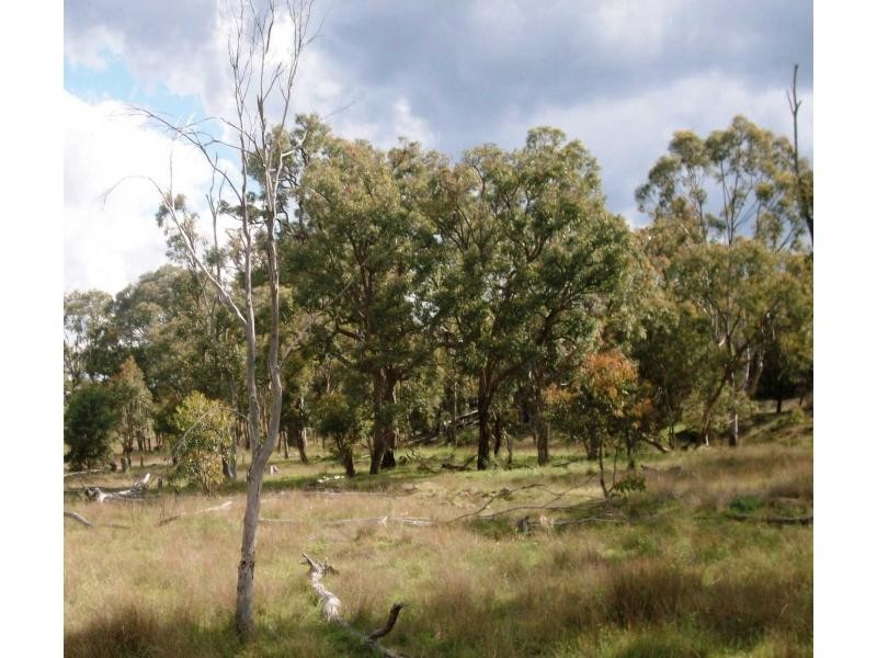 Karara QLD 4352