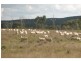 Karara QLD 4352