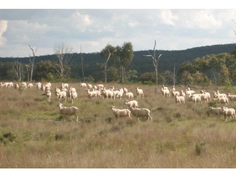 Karara QLD 4352