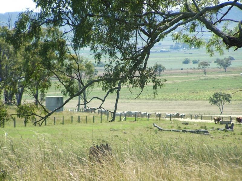 Willowvale QLD 4370