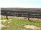Junabee QLD 4370