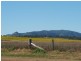 Junabee QLD 4370