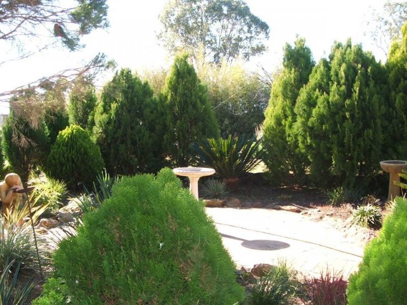 Warwick QLD 4370