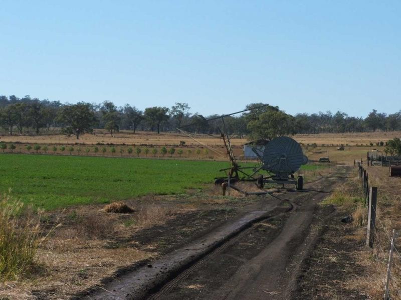 Warwick QLD 4370
