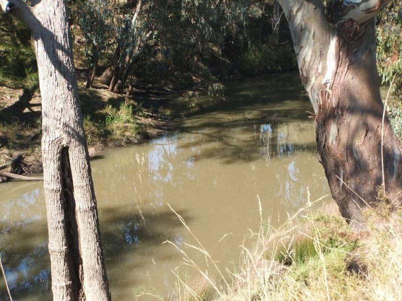Warwick QLD 4370