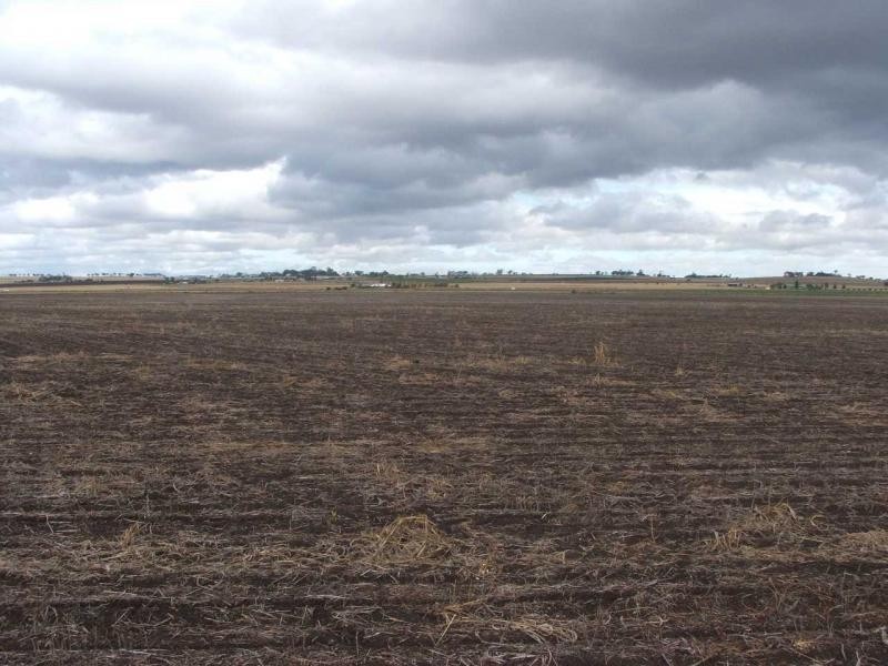 Warwick QLD 4370