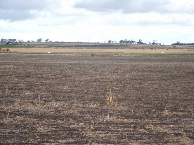 Warwick QLD 4370