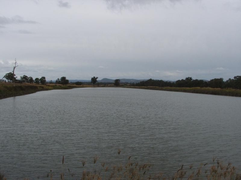 Warwick QLD 4370