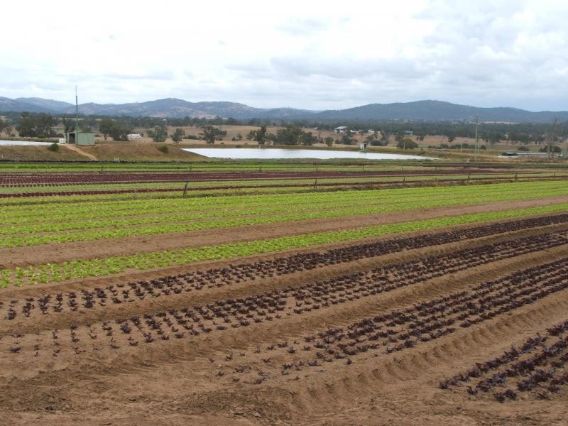 Warwick QLD 4370