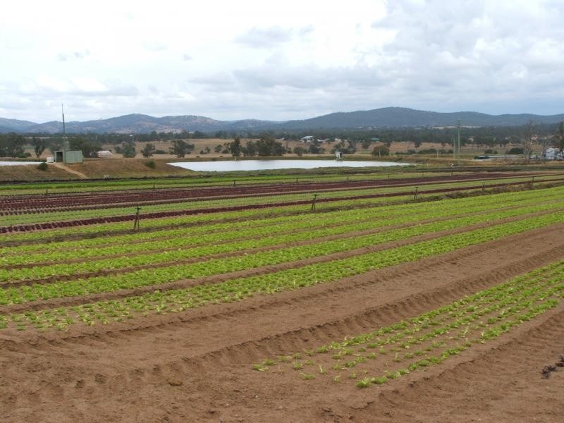 Warwick QLD 4370