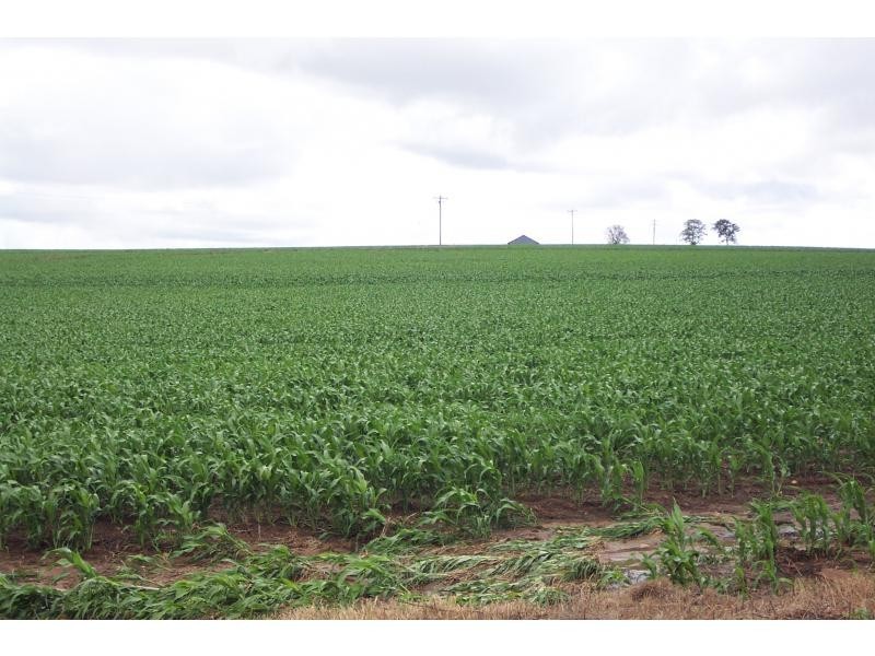 Warwick QLD 4370