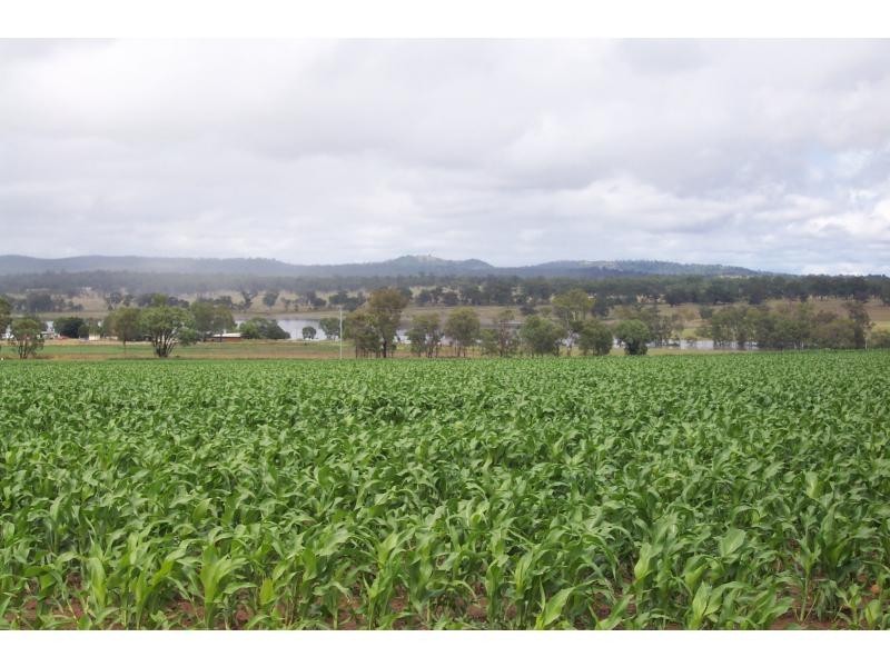 Warwick QLD 4370
