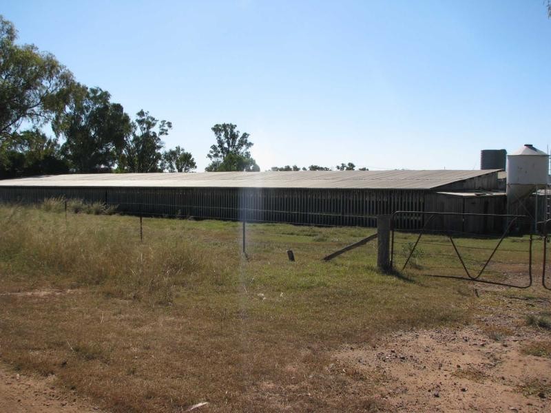 Warwick QLD 4370