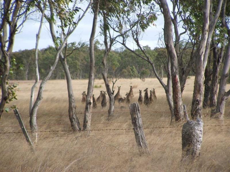 Warwick QLD 4370