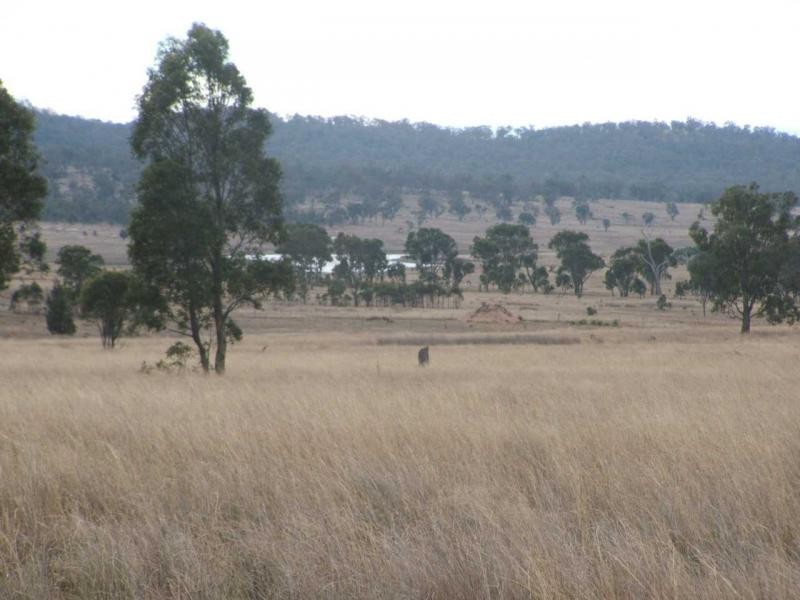 Warwick QLD 4370