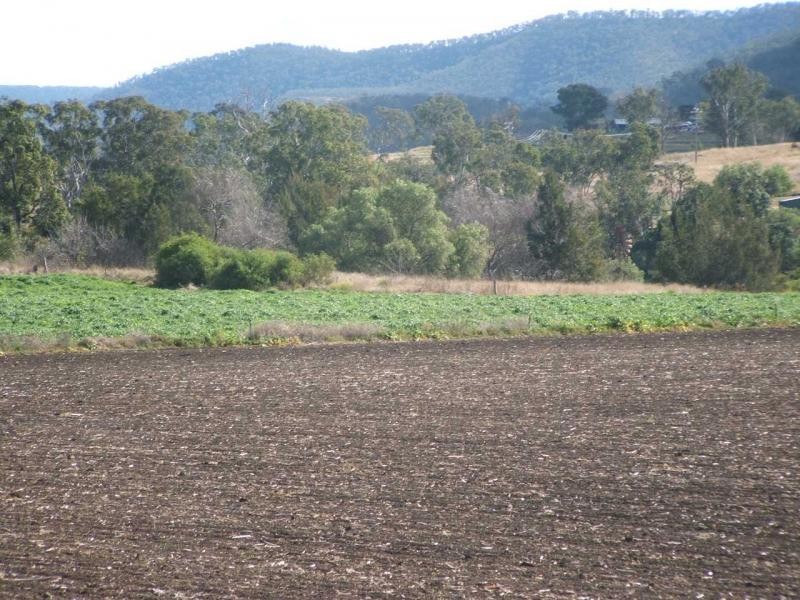 Warwick QLD 4370
