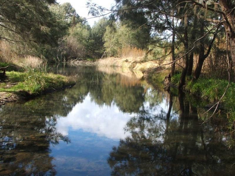 Warwick QLD 4370