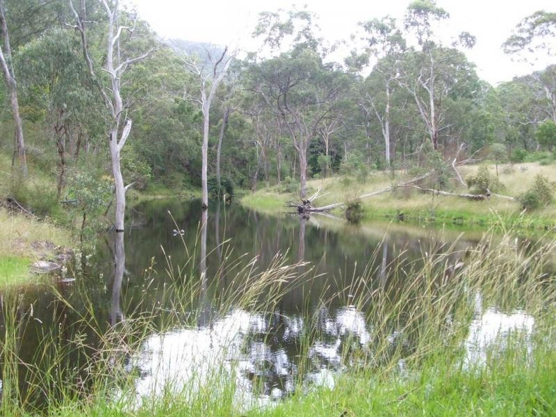 Warwick QLD 4370