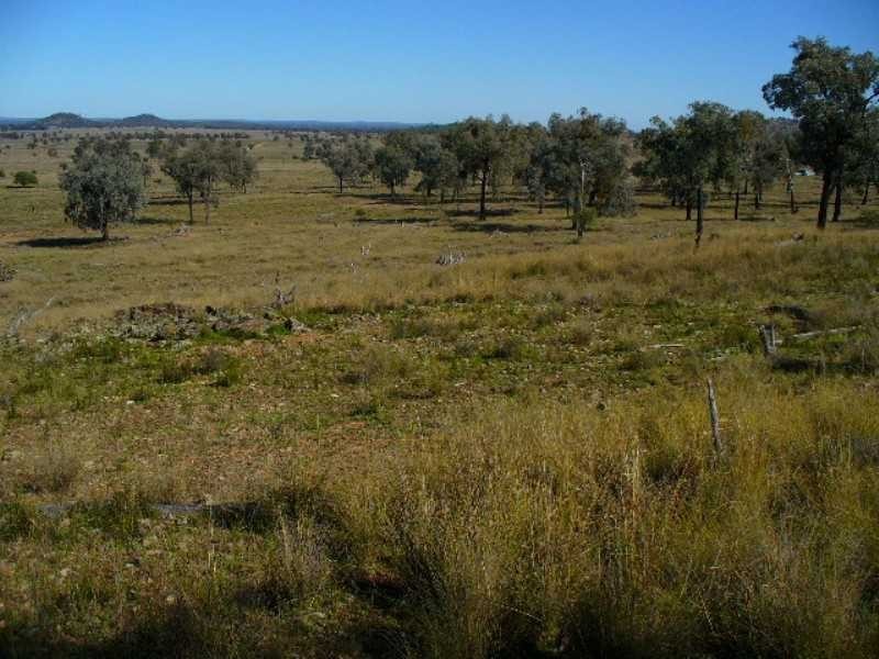 Texas NSW 4385