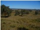 Texas NSW 4385