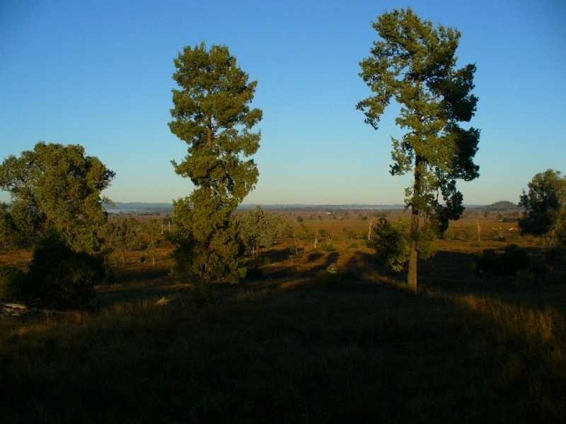 Texas NSW 4385