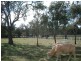 Deuchar QLD 4362
