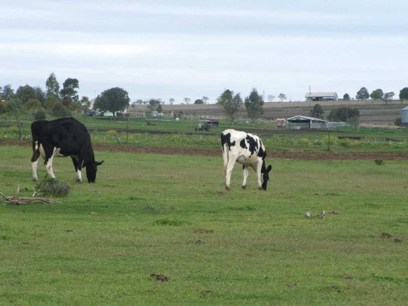 Warwick QLD 4370