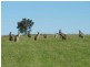 Warwick QLD 4370