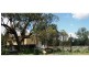 Beebo QLD 4385