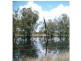 Beebo QLD 4385