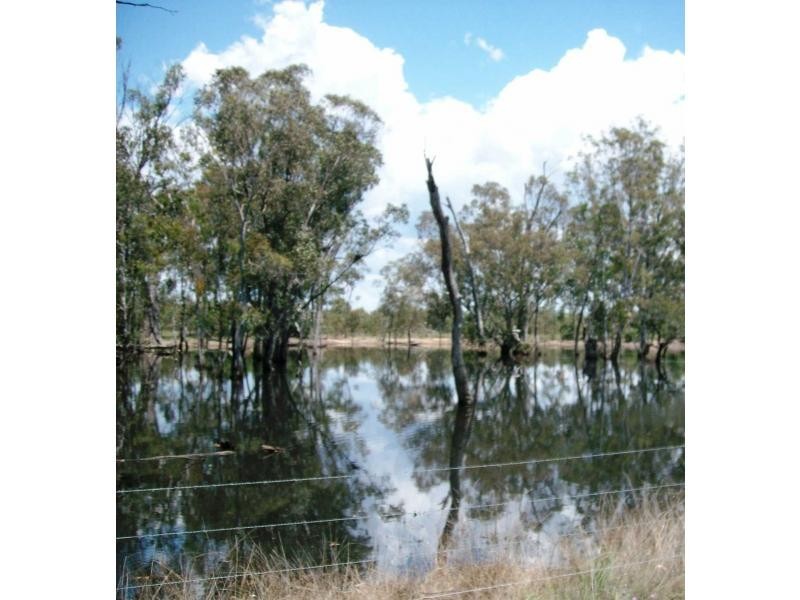 Beebo QLD 4385