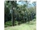 Beebo QLD 4385