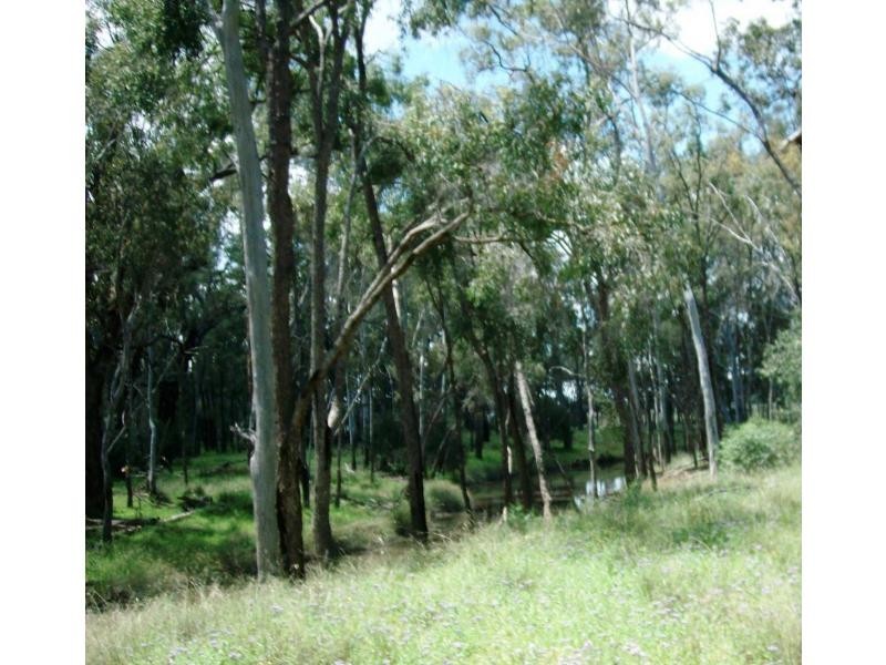Beebo QLD 4385