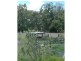 Beebo QLD 4385