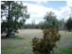 Beebo QLD 4385