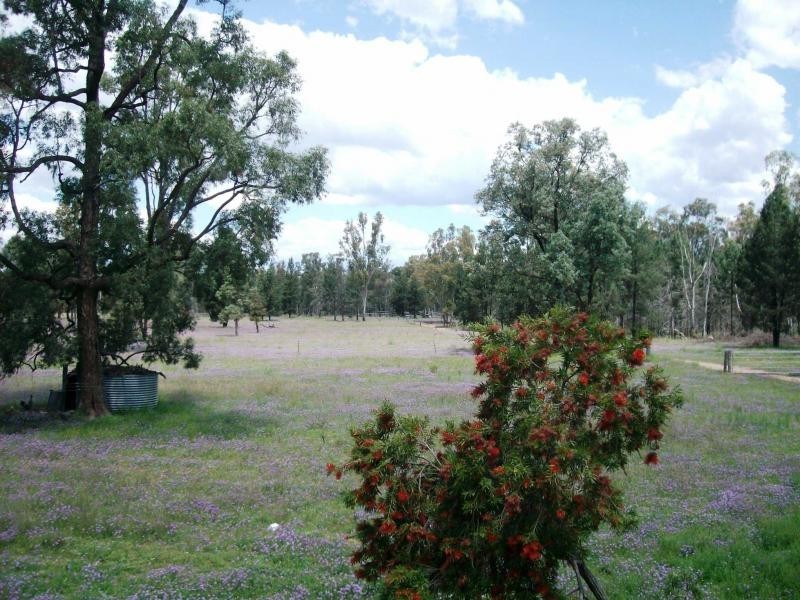 Beebo QLD 4385