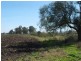 Freestone QLD 4370